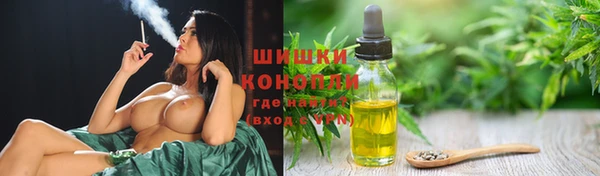 МДПВ Липки