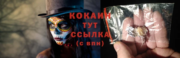 МДПВ Липки