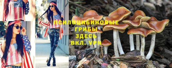эйфоретик Лиски