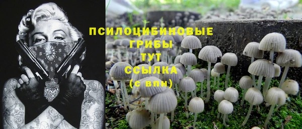 ECSTASY Лихославль