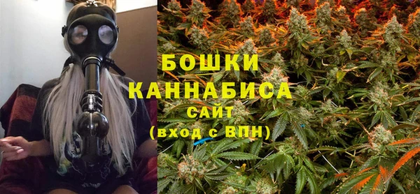 МДПВ Липки
